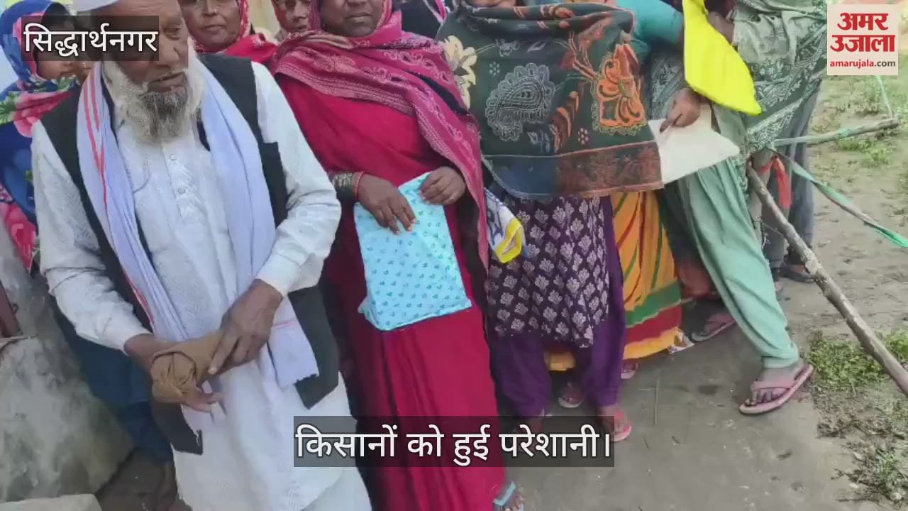 Fertilizer was not available, farmers faced problems