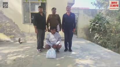 Drug smuggler arrested and  1.4 kg ganja recovered in Nuh