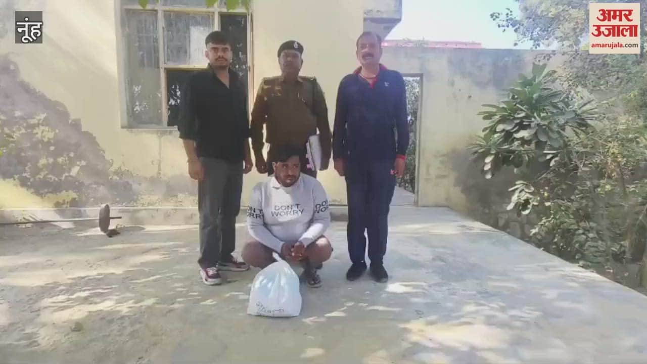 Drug smuggler arrested and  1.4 kg ganja recovered in Nuh