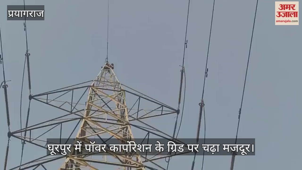 A worker climbed onto a power corporation grid in Ghurpur, prompting a crowd to help him down.