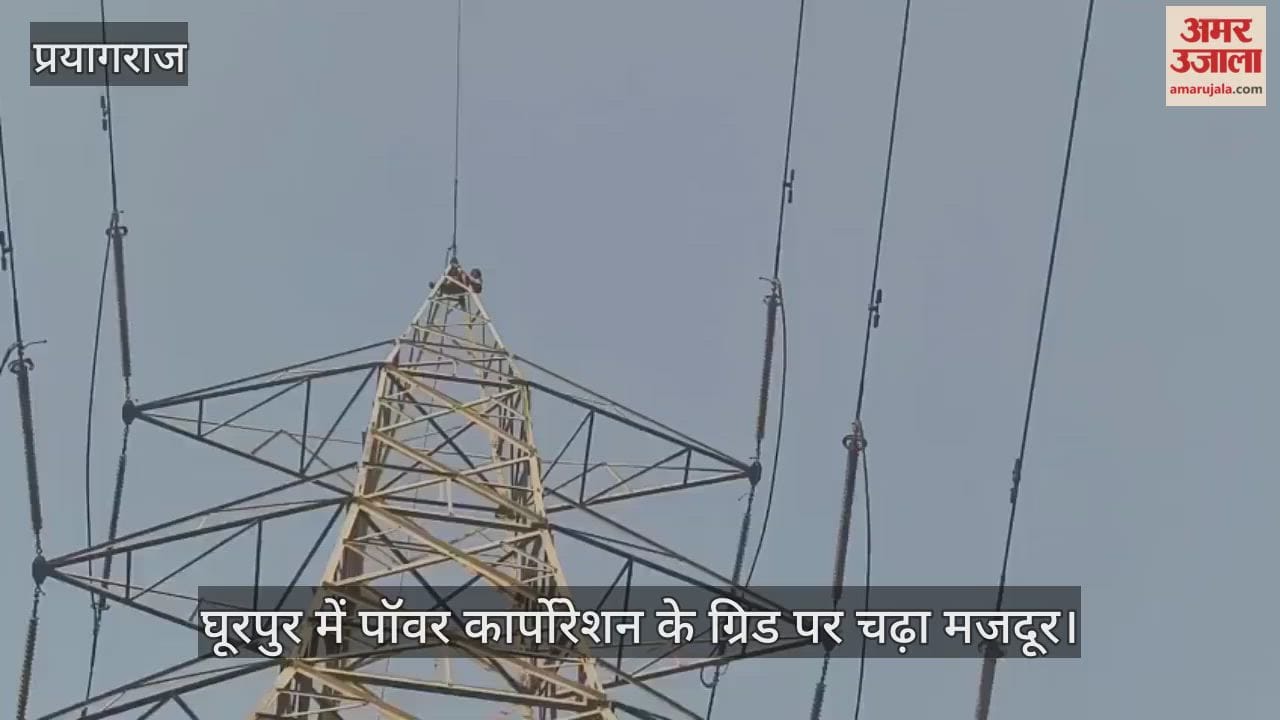 A worker climbed onto a power corporation grid in Ghurpur, prompting a crowd to help him down.