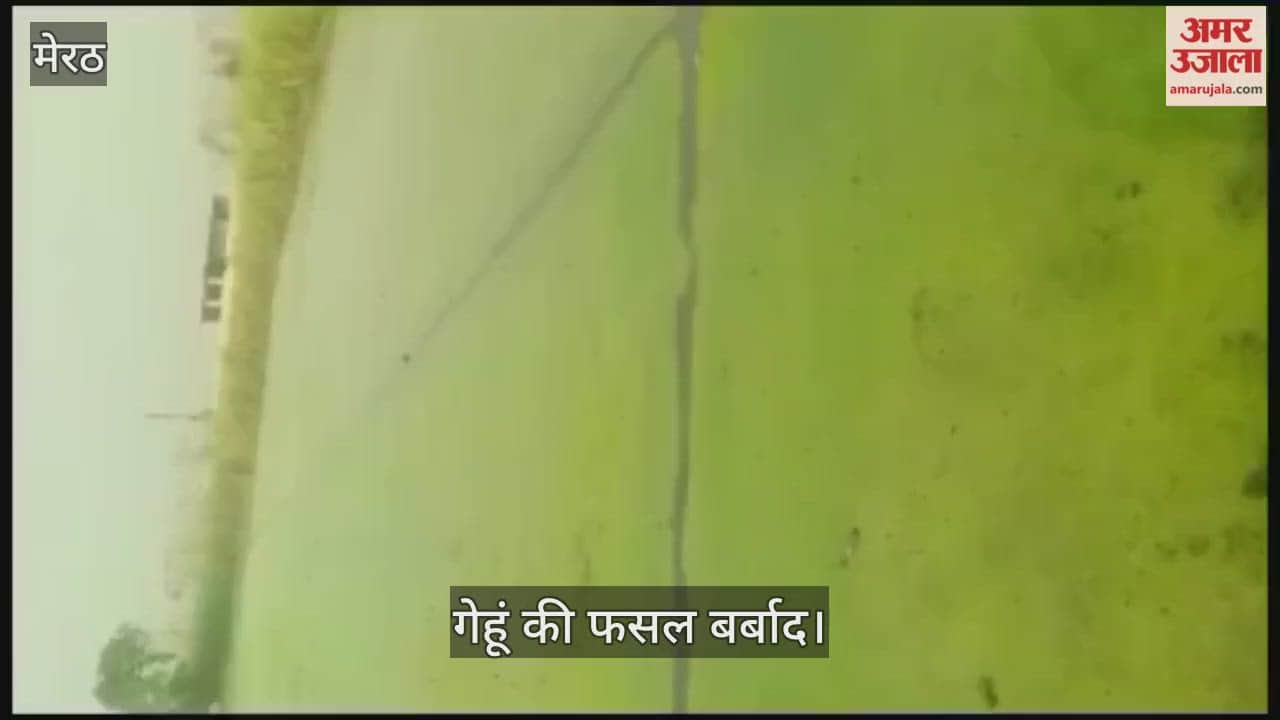 The fields were flooded with water due to the breach in the canal, and preparations for wheat sowing were halted.