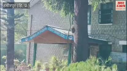 Hamirpur The horticulture department in Hamirpur district has received requests from farmers for ten thousand fruit-bearing saplings