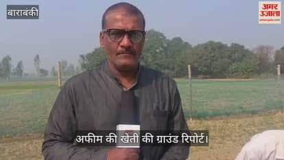 खेतों में उग आया काला सोना, 4980 किसान होंगे मालामाल, देखिए कैसे होती है अफीम की खेती