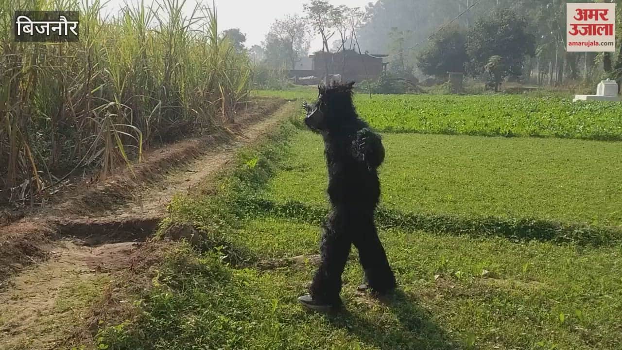 Bijnor: Troubled by the menace of monkeys, villagers come up with a unique solution