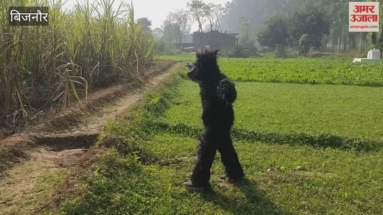 Bijnor: Troubled by the menace of monkeys, villagers come up with a unique solution