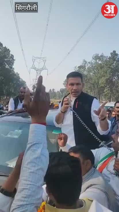 Forests are being destroyed in the race to extract 'black gold', 600,000 trees are being cut down