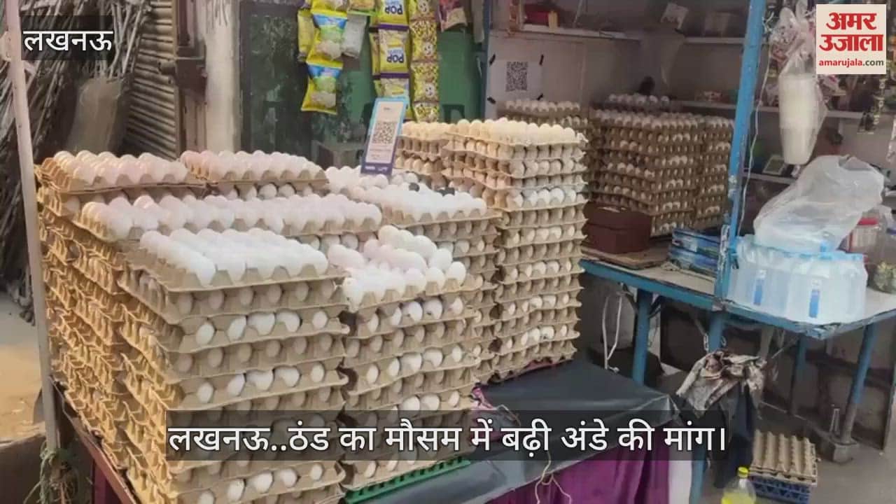 Video : लखनऊ..ठंड का मौसम में बढ़ी अंडे की मांग