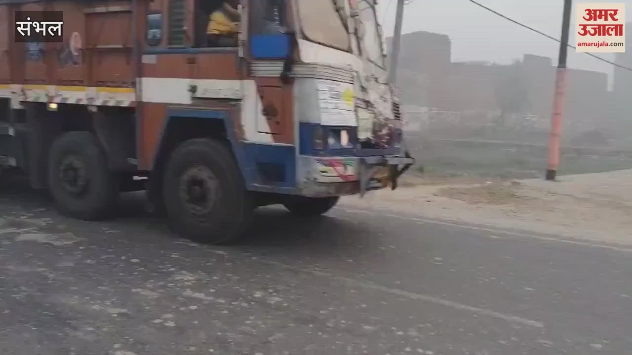 फिजा में छाया कोहरा, हाईवे पर यातायात प्रभावित, ठिठुरन बढ़ी