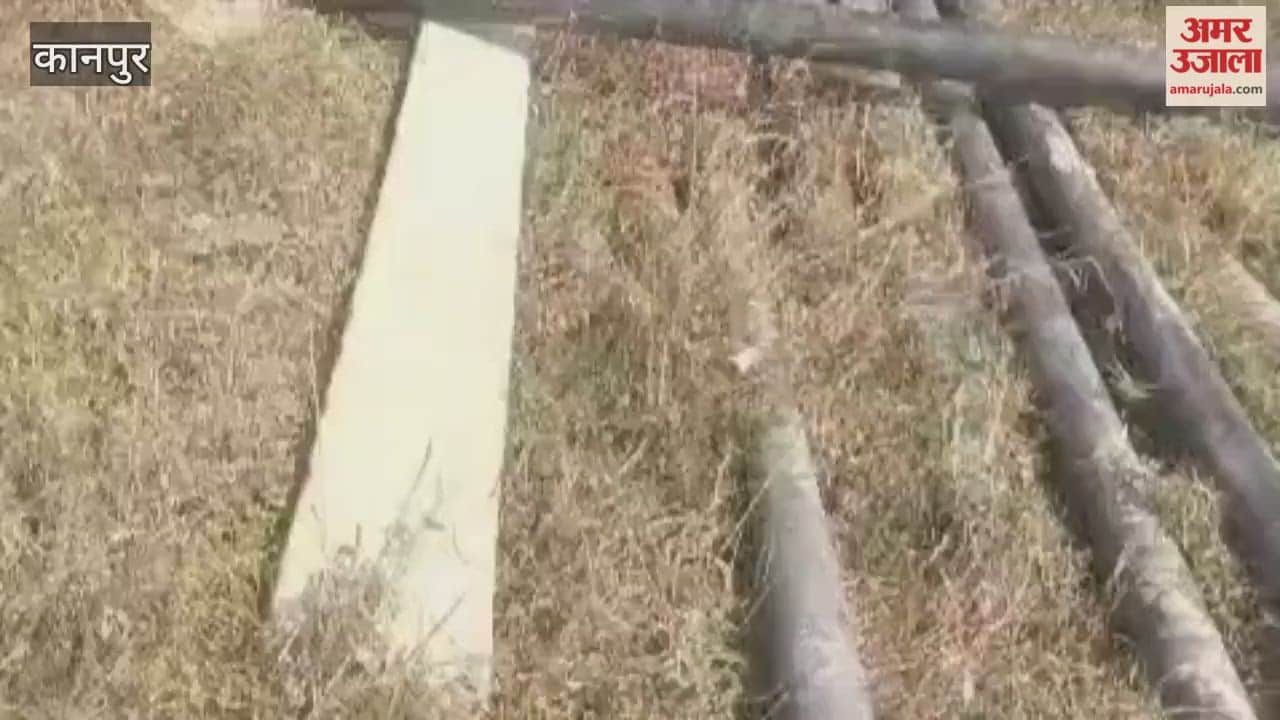 Electricity poles in the field were broken, a report was filed against the accused