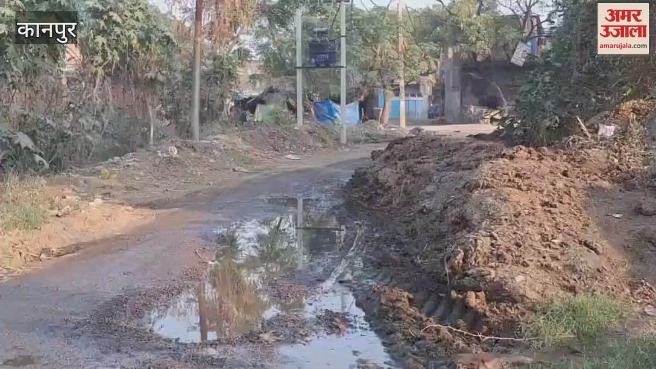 Cow dung piles on Bhitargaon-Birhar main road cause problems for commuters