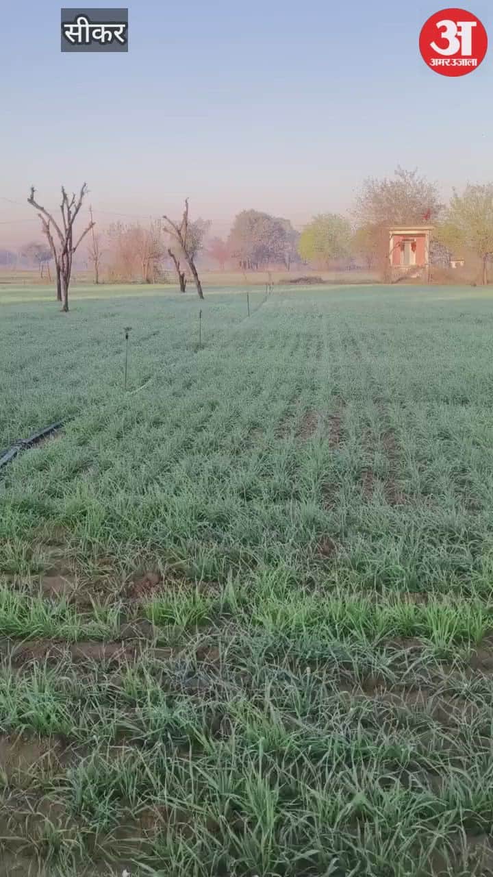 Severe cold will start from December 25, hence relief will