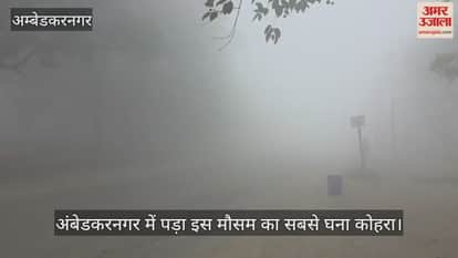 VIDEO: अंबेडकरनगर में पड़ा इस साल का सबसे घना कोहरा, सड़कों पर रेंगते रहे वाहन, सुबह ऐसा रहा मौसम