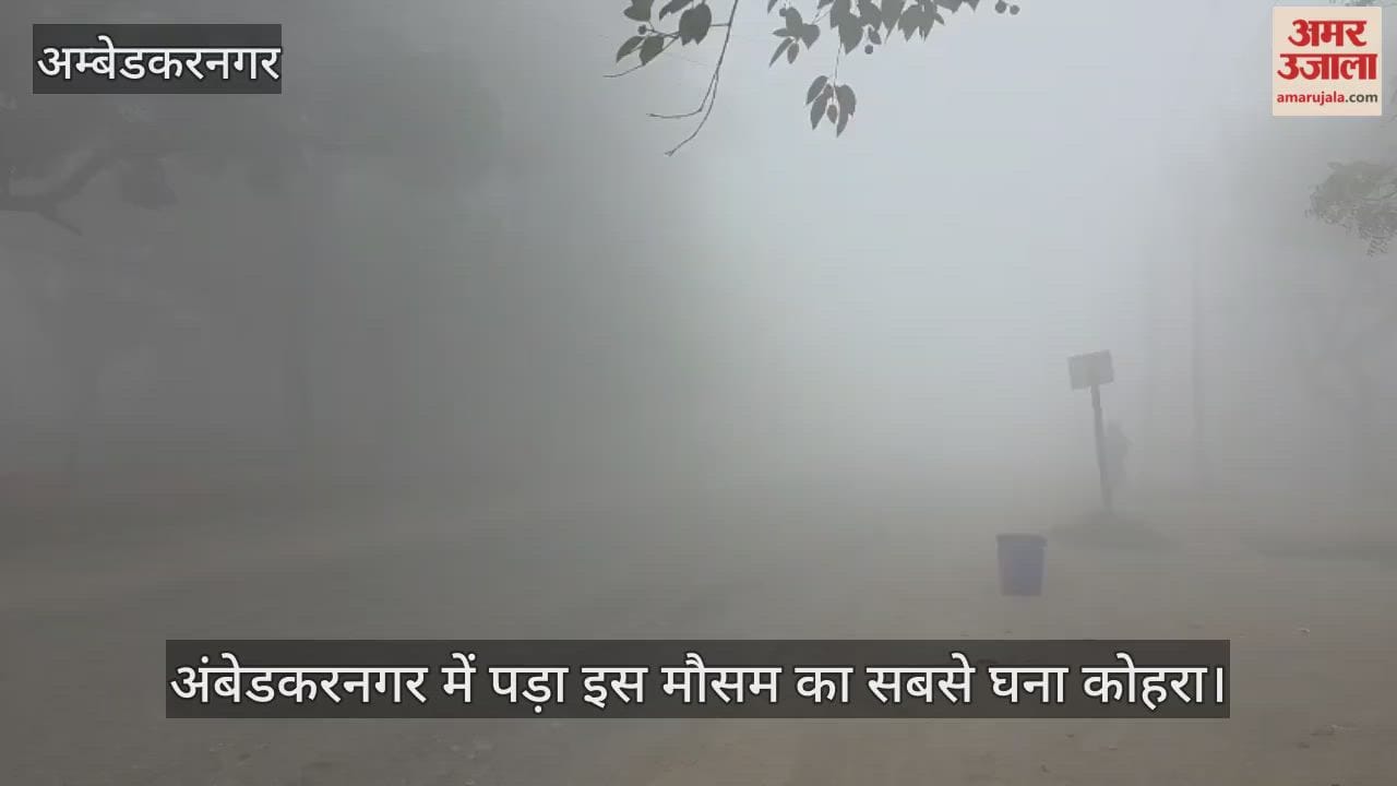 VIDEO: अंबेडकरनगर में पड़ा इस साल का सबसे घना कोहरा, सड़कों पर रेंगते रहे वाहन, सुबह ऐसा रहा मौसम