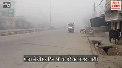 VIDEO: गोंडा में तीसरे दिन भी कोहरे का कहर जारी, बसों की रफ्तार धीमी हुई... ट्रेनें भी विलंब से चल रहीं