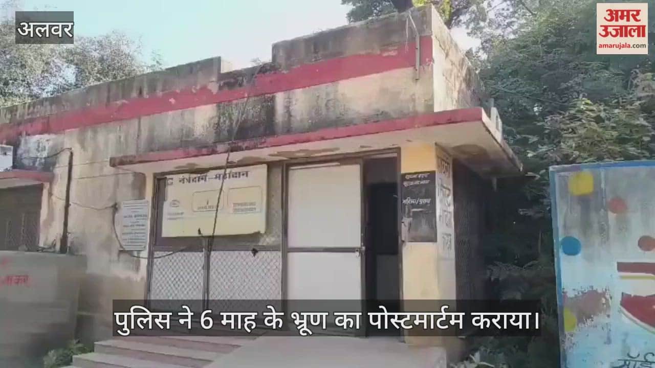 Rajasthan News: Humanity Shamed in Alwar, Six-Month-Old Fetus Found in Garbage Heap, Police Investigating