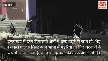 Shepherds returning from the high Himalayas to the lower forests Rudraprayag News