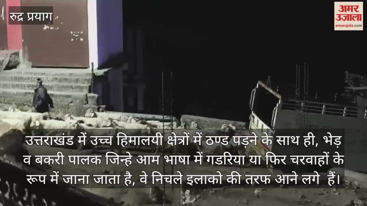 Shepherds returning from the high Himalayas to the lower forests Rudraprayag News