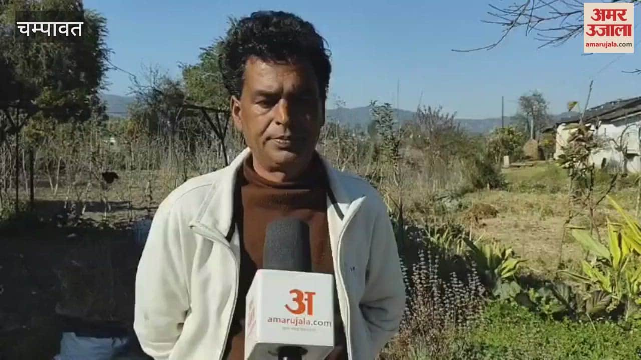 Farmer Taradutt is cultivating black wheat and black turmeric which are rich in medicinal properties in champawat
