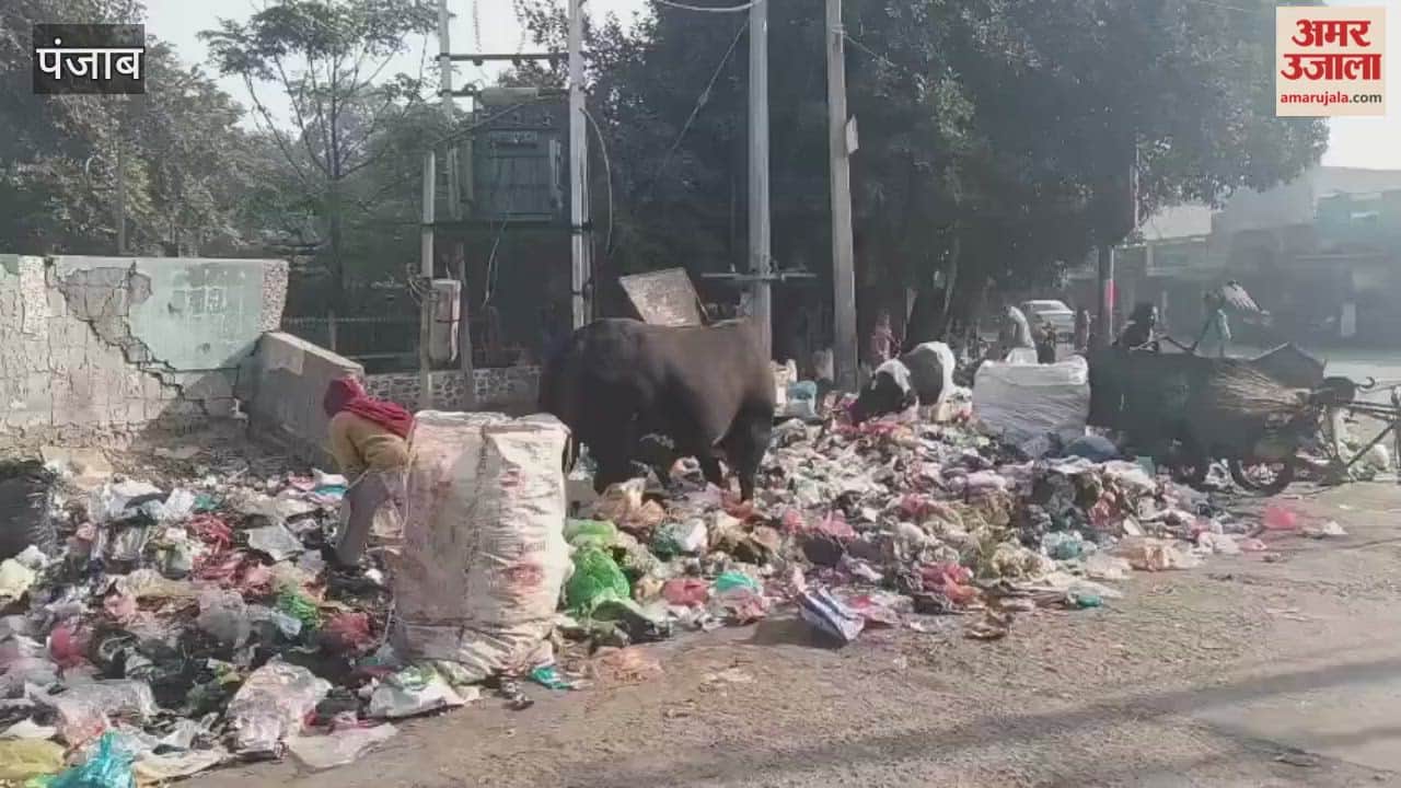Residents of Phagwara are being troubled by piles of garbage, and have warned the municipal corporation of a protest.
