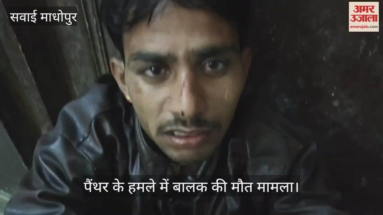 Ranthambore Tiger Reserve: 8-year-old boy dies after being attacked by panther while returning from temple