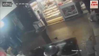 A dog was attacked with a cleaver in Chandigarh.