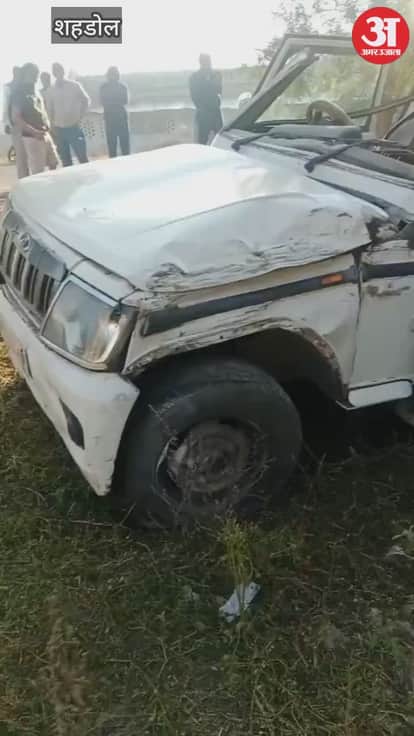 The driver dozed off and the speeding Bolero collided with a tree, destroying the vehicle and leaving