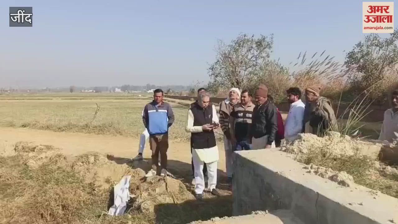 Irrigation crisis deepens on 100 acres of farmland in Julana, Jind; farmers blame the Public Health Department