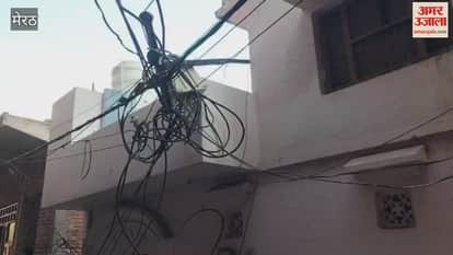 Meerut: monkeys harm public in lavad