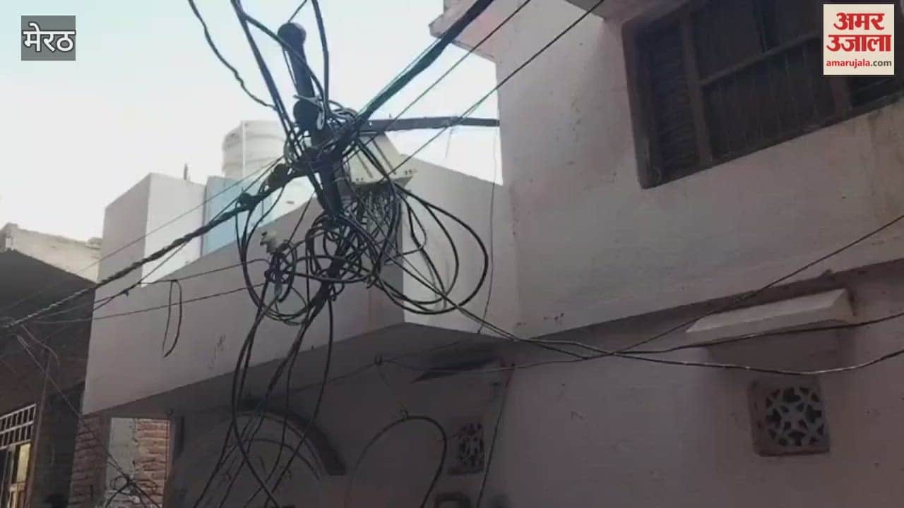 Meerut: monkeys harm public in lavad