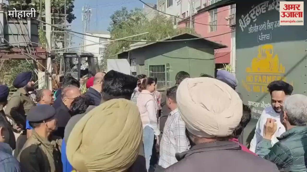 Following the High Court order, the encroachment removal drive began in Mohali.