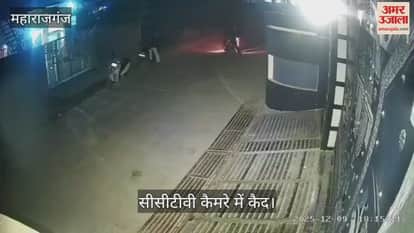 Bike stolen, incident caught on CCTV