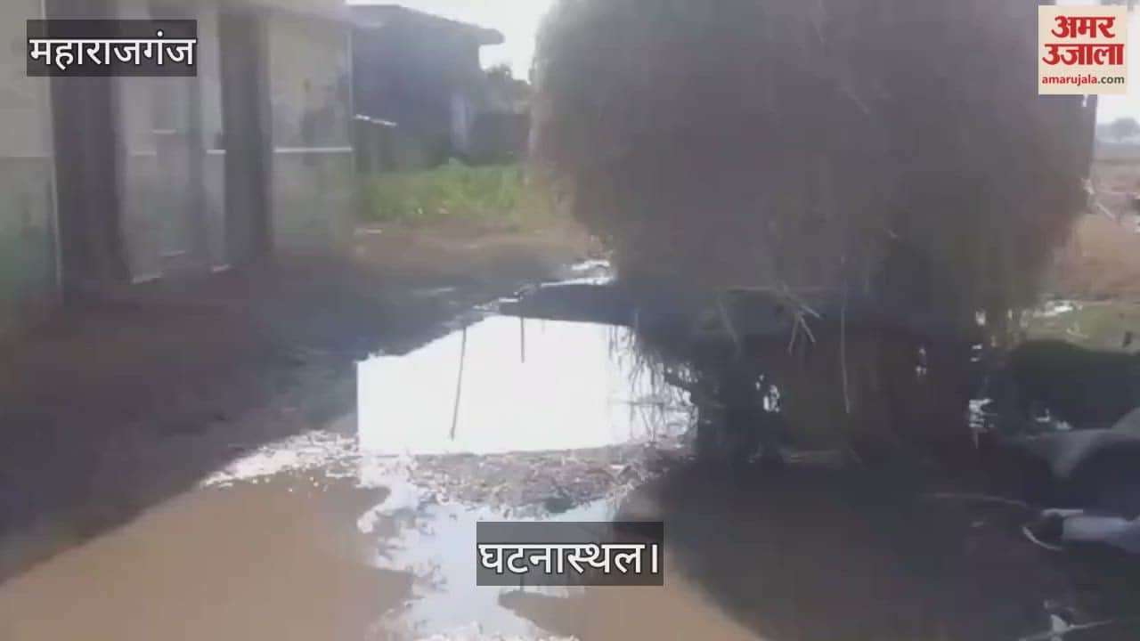 A passing bull died after being electrocuted in a flooded road.
