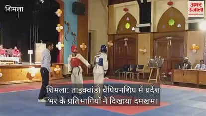 Shimla: Participants from across the state showcased their strength in the Taekwondo Championship.