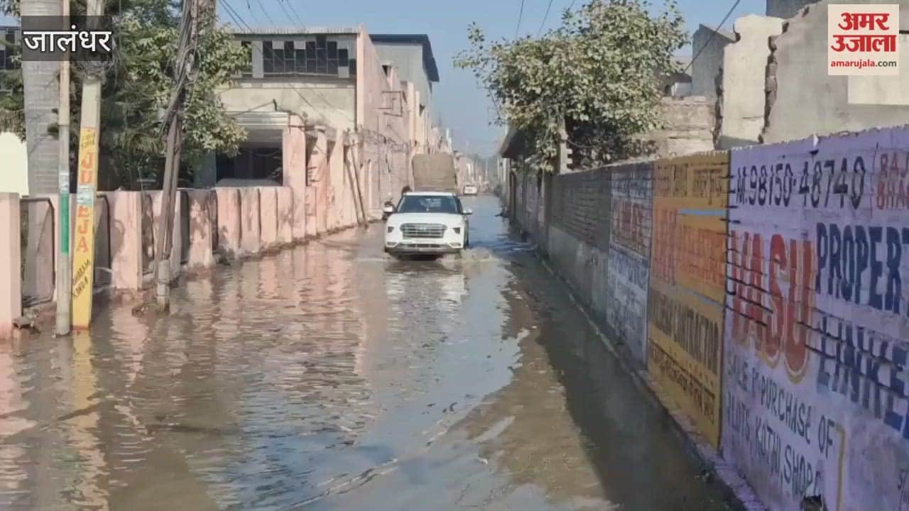Dirty water accumulated in the streets of Basti Baba Khel Area in Jalandhar, causing problems for the people.