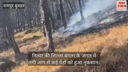 Many trees were damaged due to the fire in the forest of Shilla Bangla of Nithar.