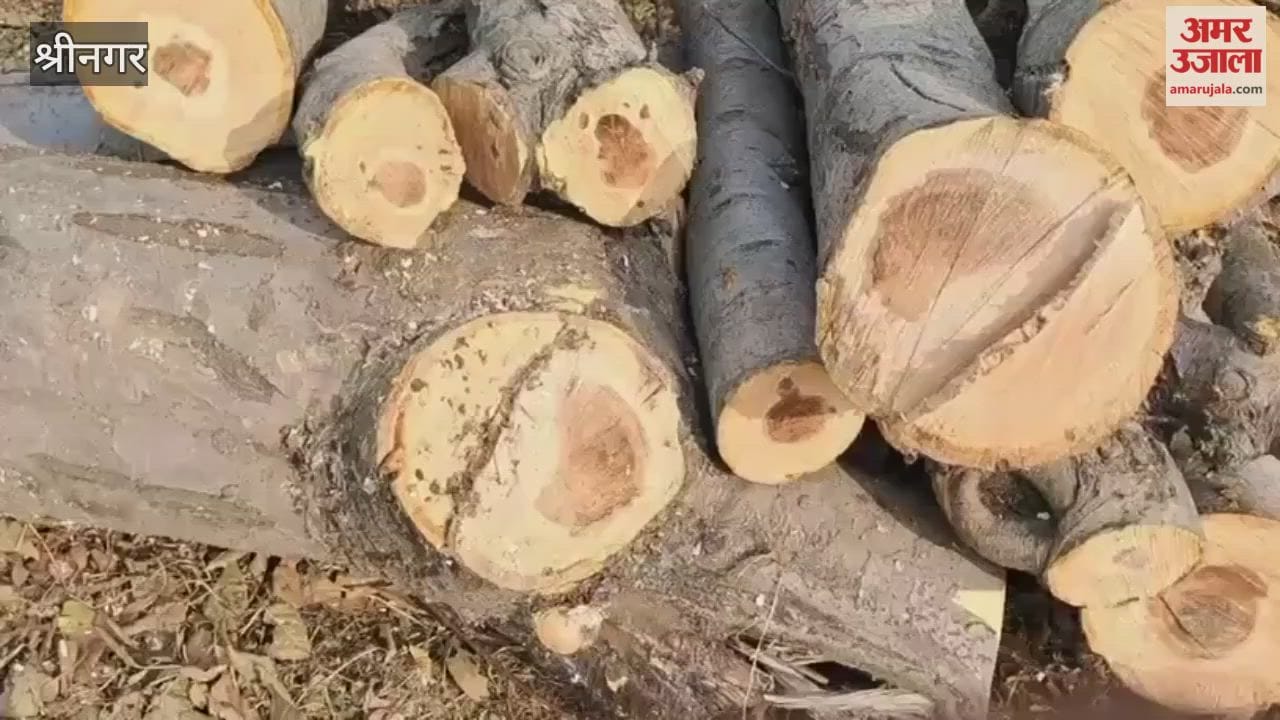 Shopian Residents Hold Peaceful Protest, Demand Fair Compensation for NH-444 Project