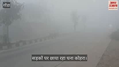 VIDEO: गोंडा में छाया घना कोहरा, रफ्तार पर असर, दृश्यता कम होने से लोगों को आवागमन में हुई भारी दिक्कत