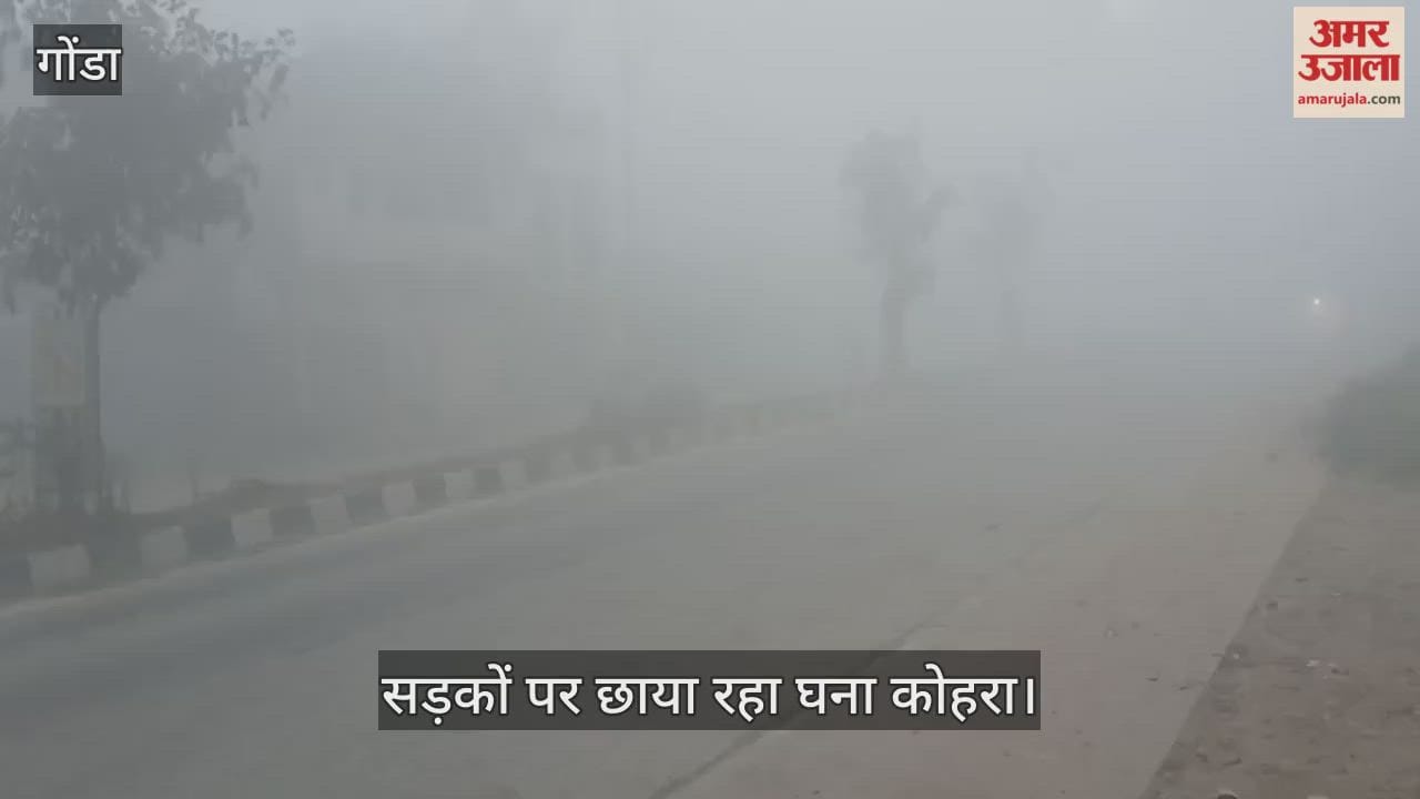 VIDEO: गोंडा में छाया घना कोहरा, रफ्तार पर असर, दृश्यता कम होने से लोगों को आवागमन में हुई भारी दिक्कत