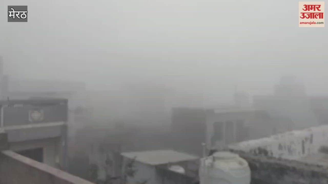 Meerut: fog step in Meerut, cold waves continuous