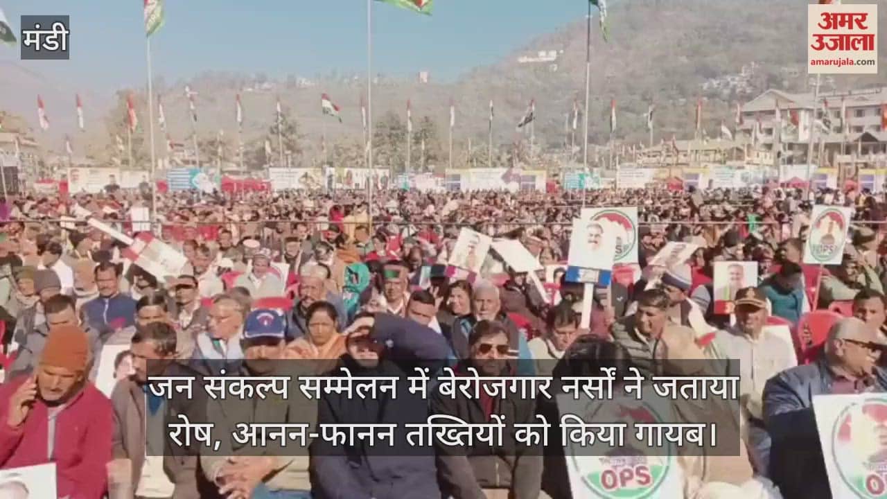 Unemployed nurses expressed their anger at the public resolution conference, and the placards were quickly removed.