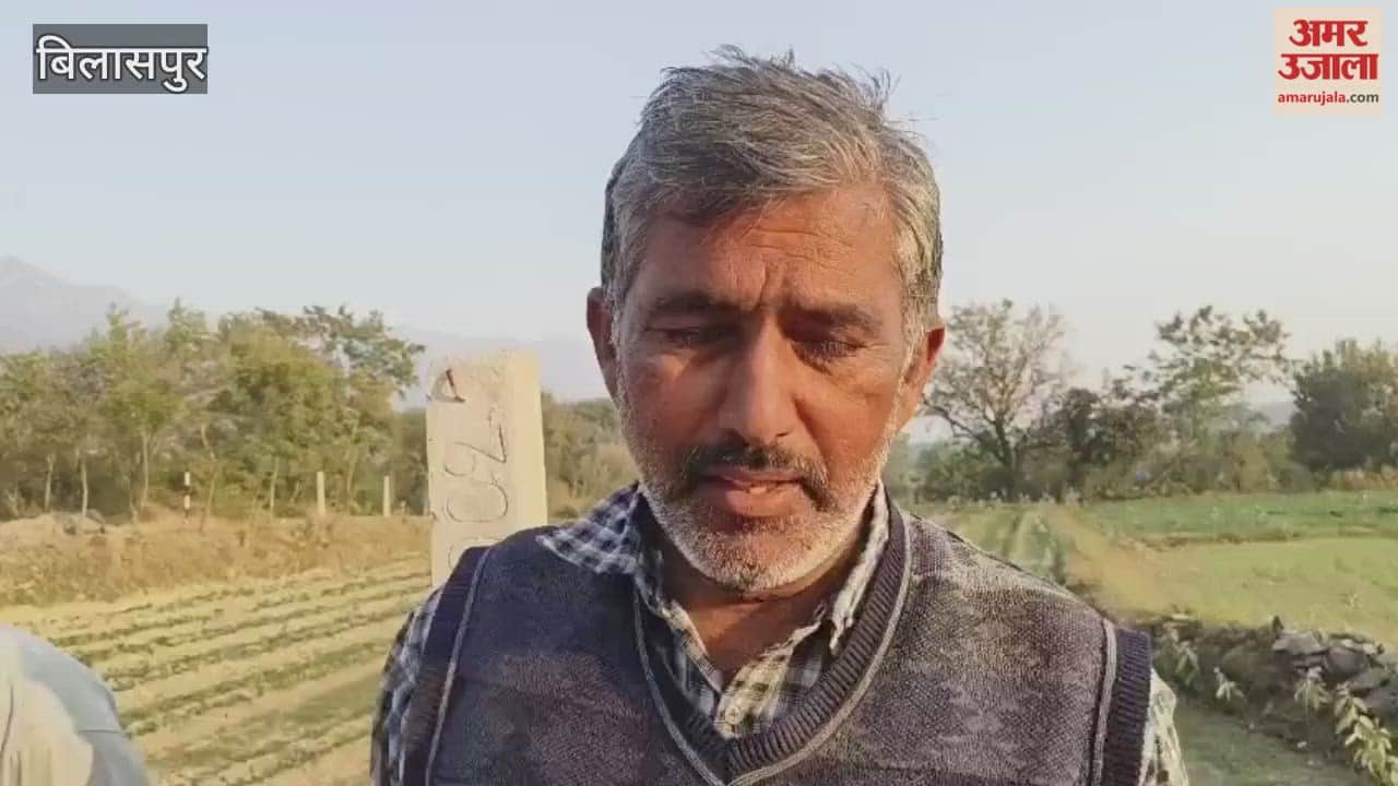 Bilaspur Irrigation water crisis deepens in Dharot Panchayat farmers and gardeners worried