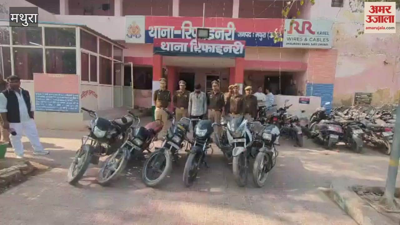 Police caught vehicle thief