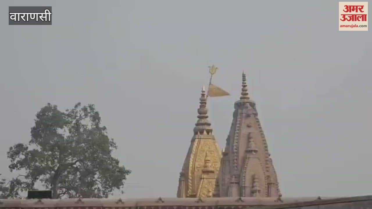 Special religious ritual on fourth anniversary of reconstruction of Vishwanath Dham