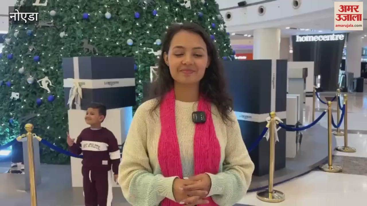 33 feet Christmas tree becomes center of attraction in Noida