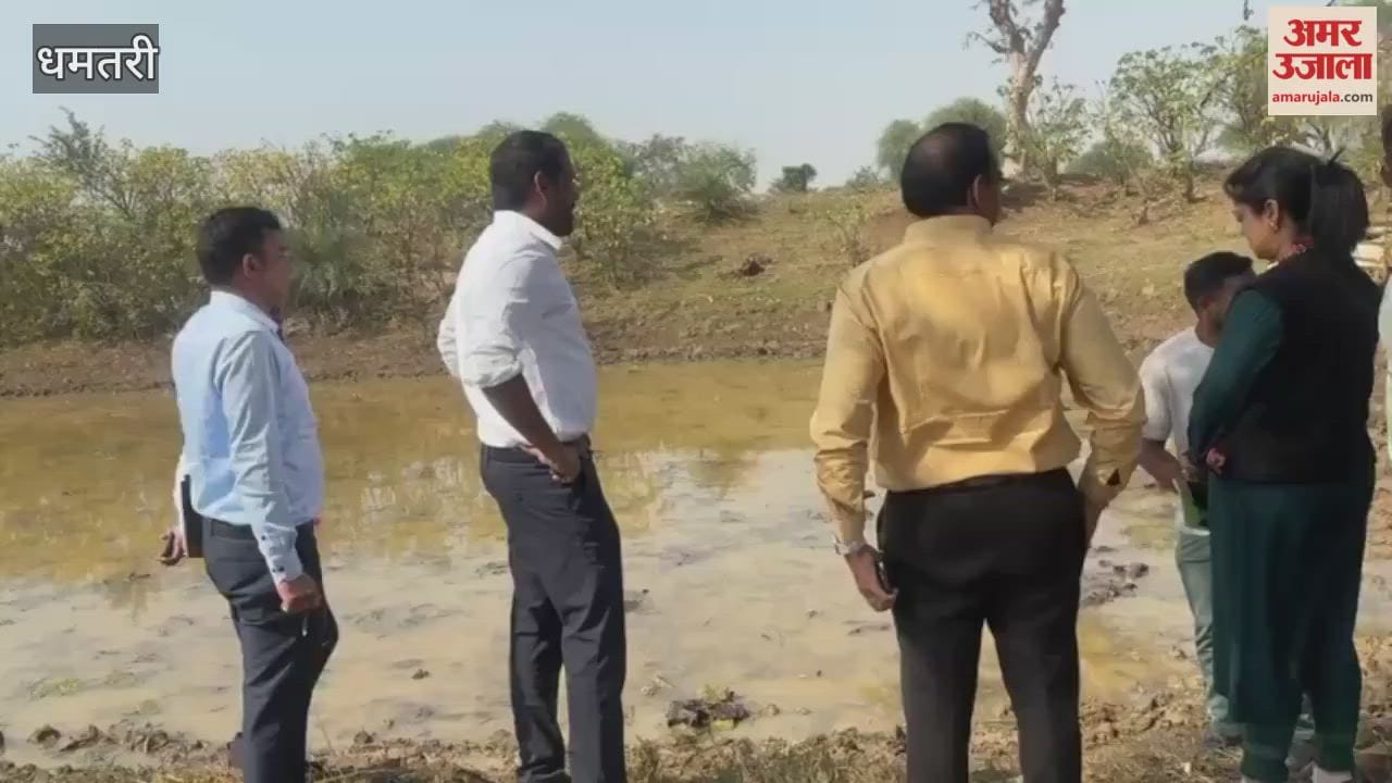 Makhana revolution begins in Dhamtari Collector plants saplings with women groups in Dandesara