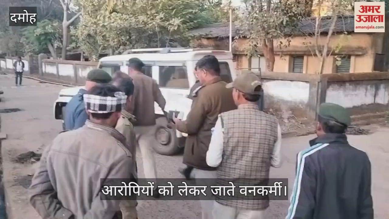 Damoh News: Two arrested for poaching chinkara in Rani Durgavati Tiger Reserve.