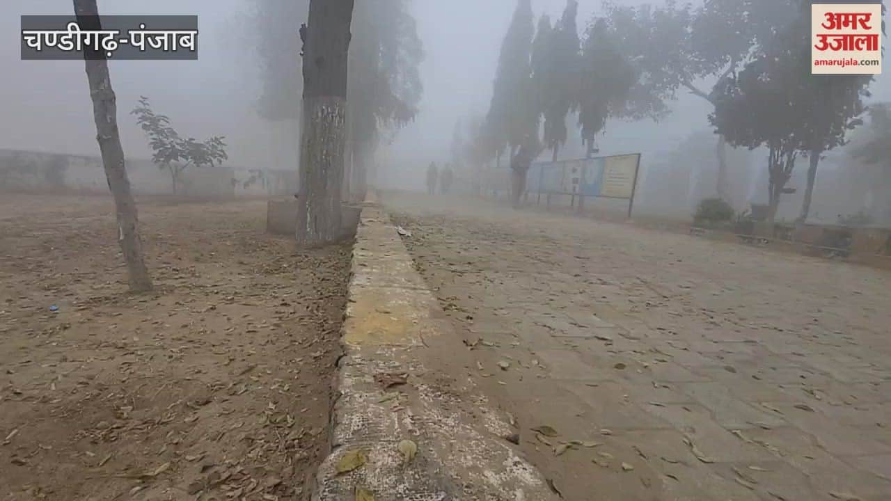 People arrived at polling booths to cast their votes amidst the cold and fog in Bathinda