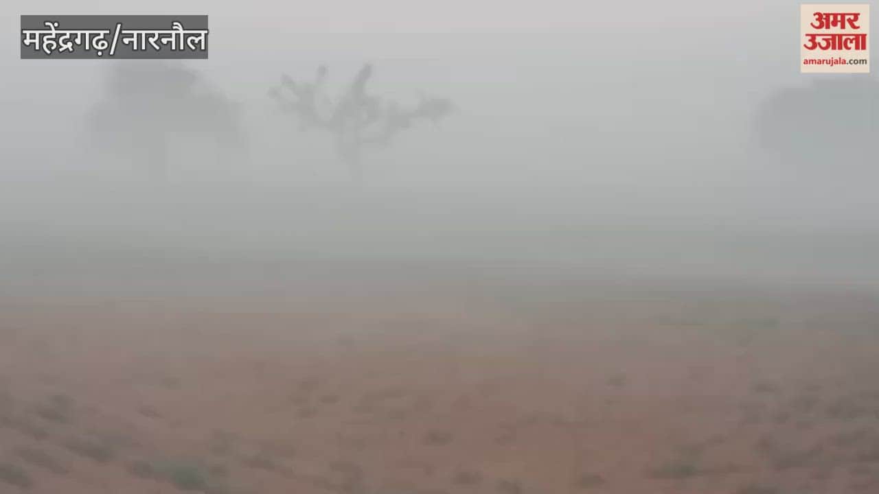 In Narnaul, morning fog slowed down vehicular traffic