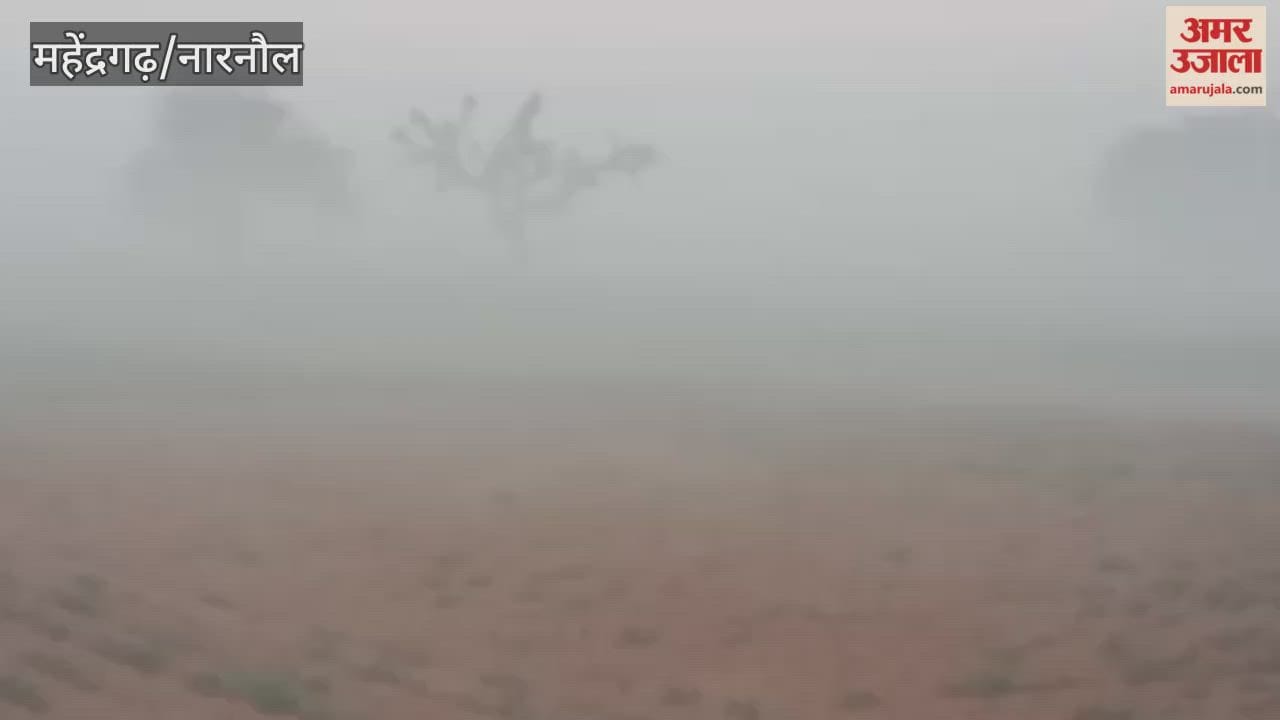 In Narnaul, morning fog slowed down vehicular traffic